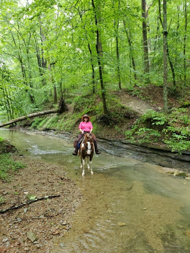 Hoosier Horse Camp